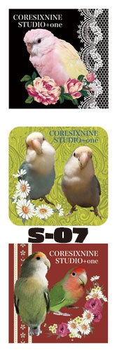 S-06~07 アンティーク調 インコ封緘シール