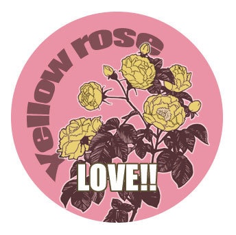 K-02~04 オールドローズ ピンズ