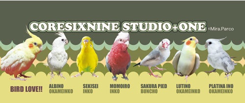 B-01・02・04 鳥類ボールペン&シャープペン