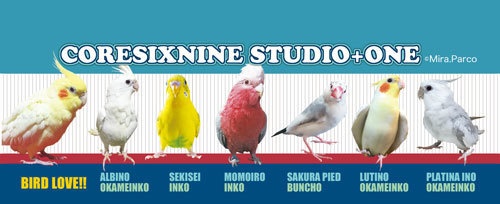 B-01・02・04 鳥類ボールペン&シャープペン