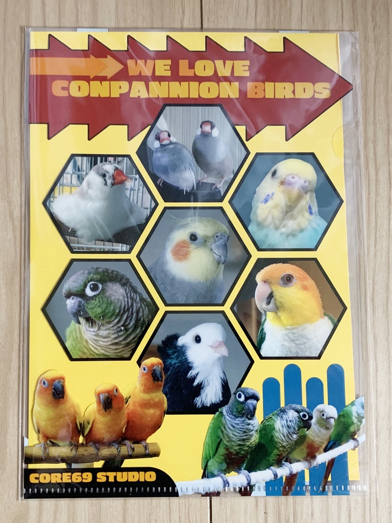 WS-05 BIRDS