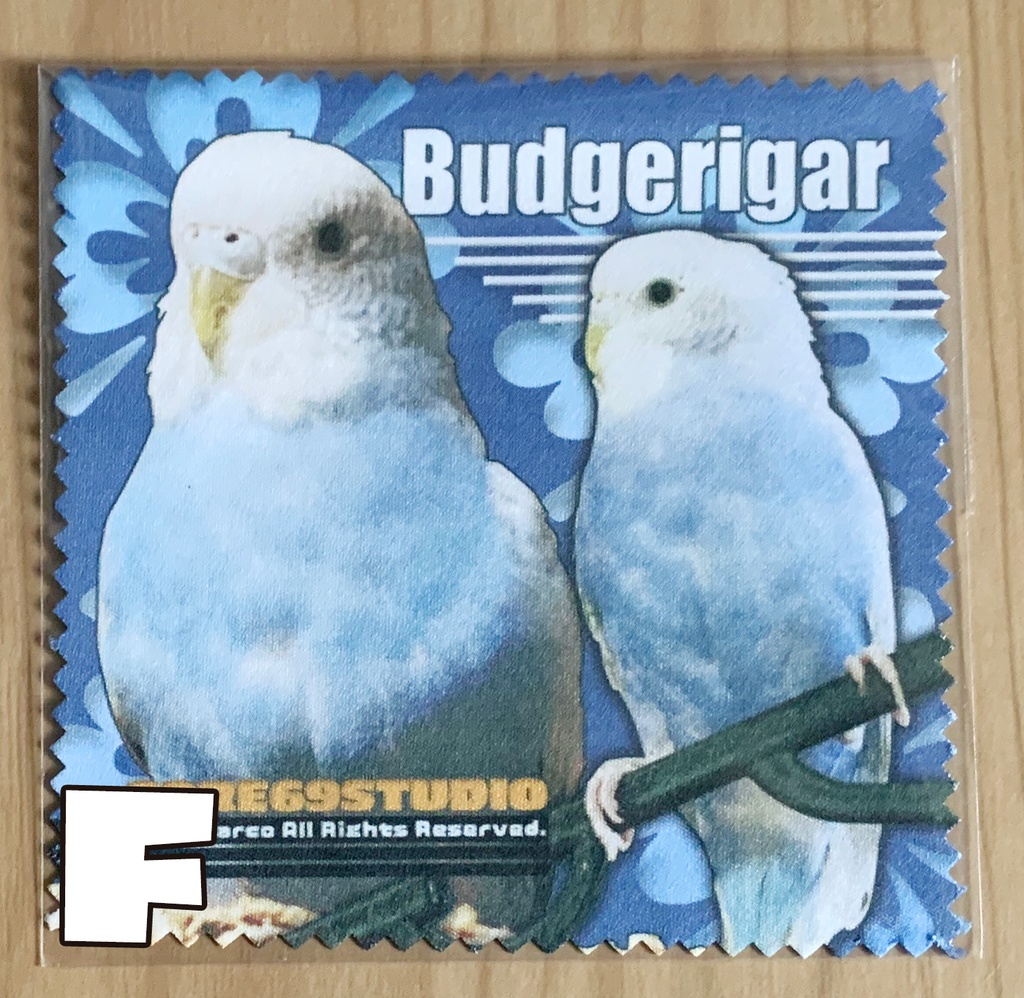 コンパニオンバードメガネ拭き8種