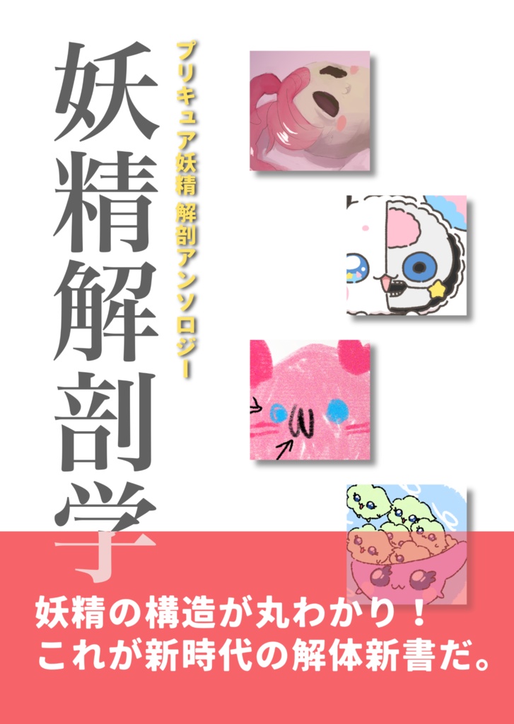 妖精解剖学