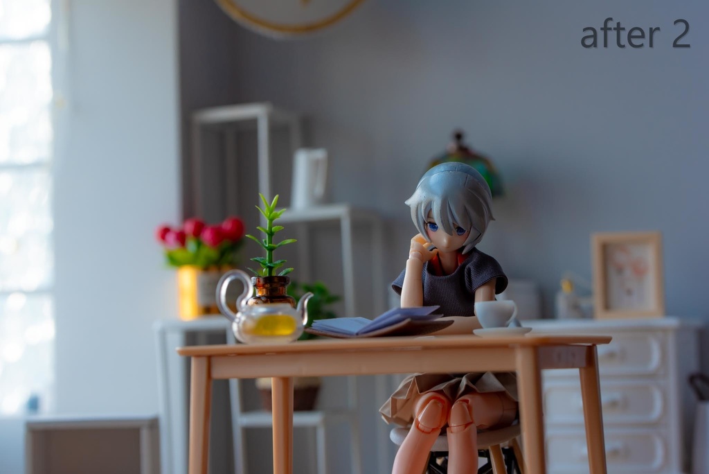 lightroom メガミ用プリセット