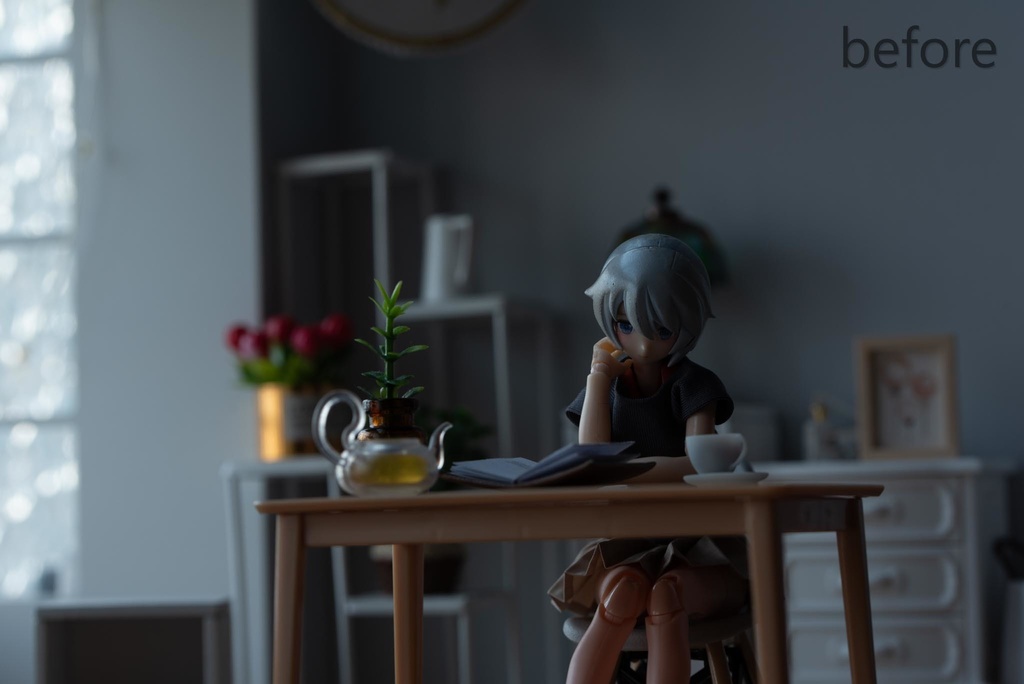 lightroom メガミ用プリセット