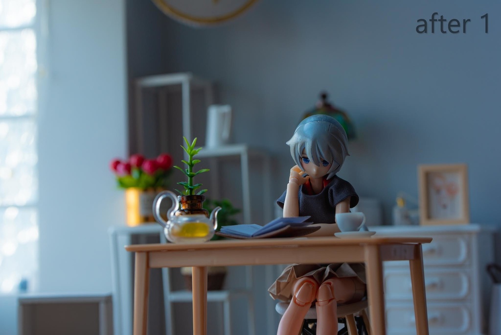 lightroom メガミ用プリセット