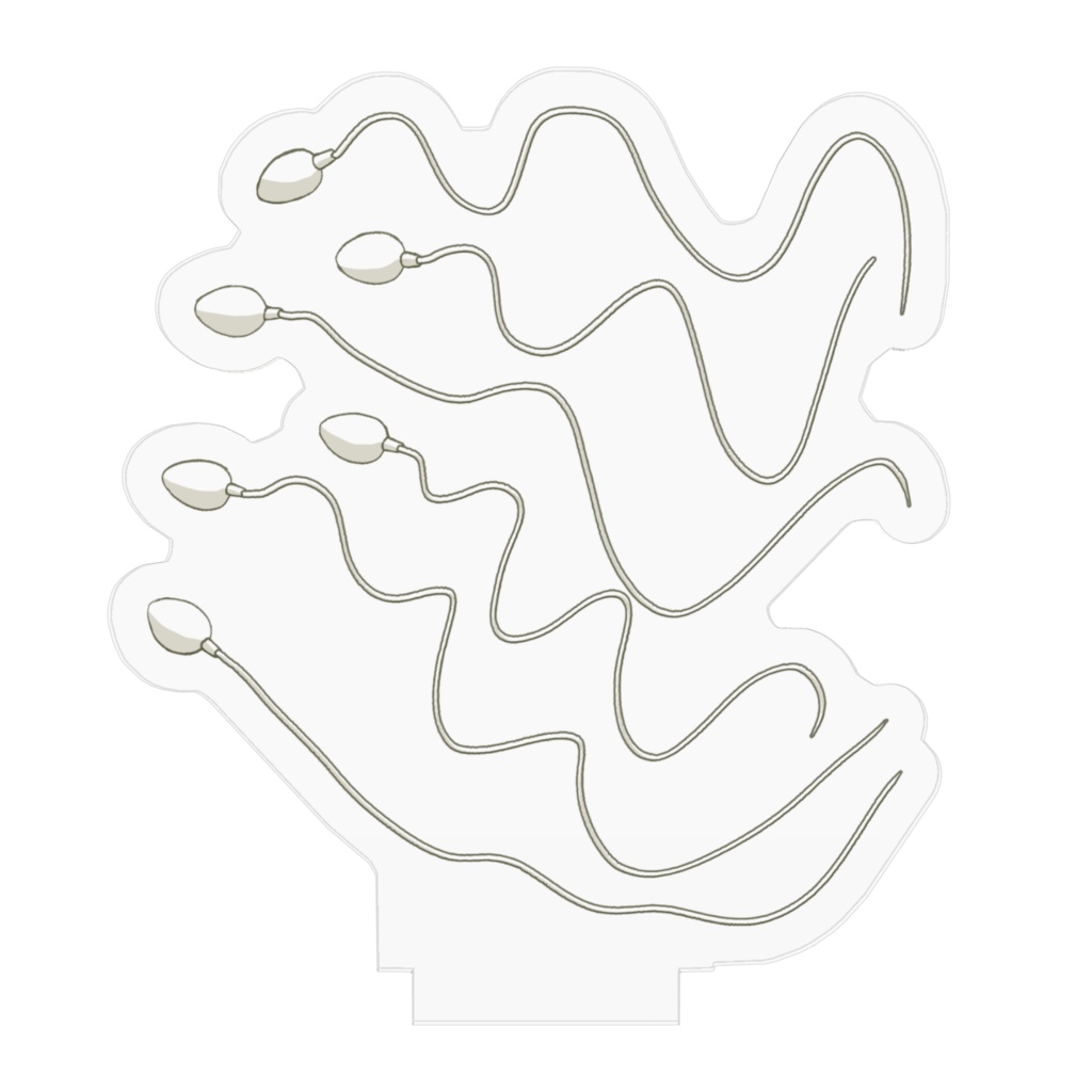 精子の群れ・右