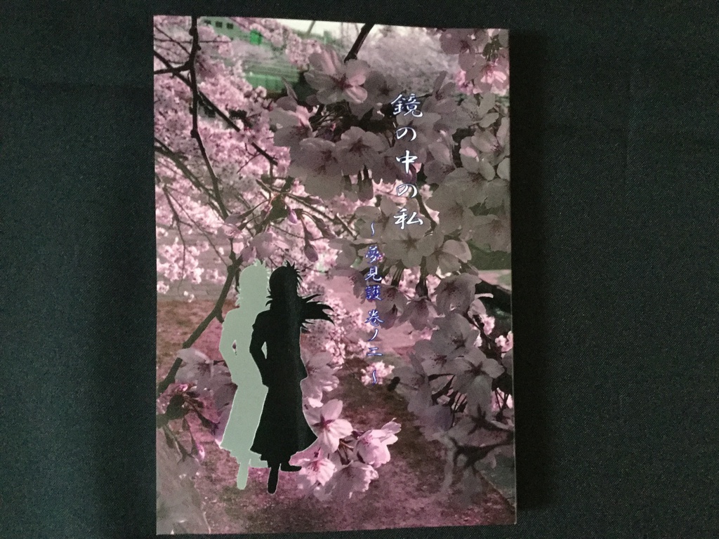 鏡の中の私 ～夢見護 巻ノ二～