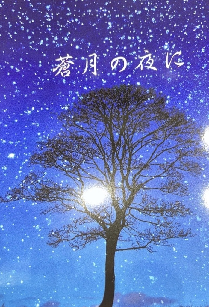 蒼月の夜に