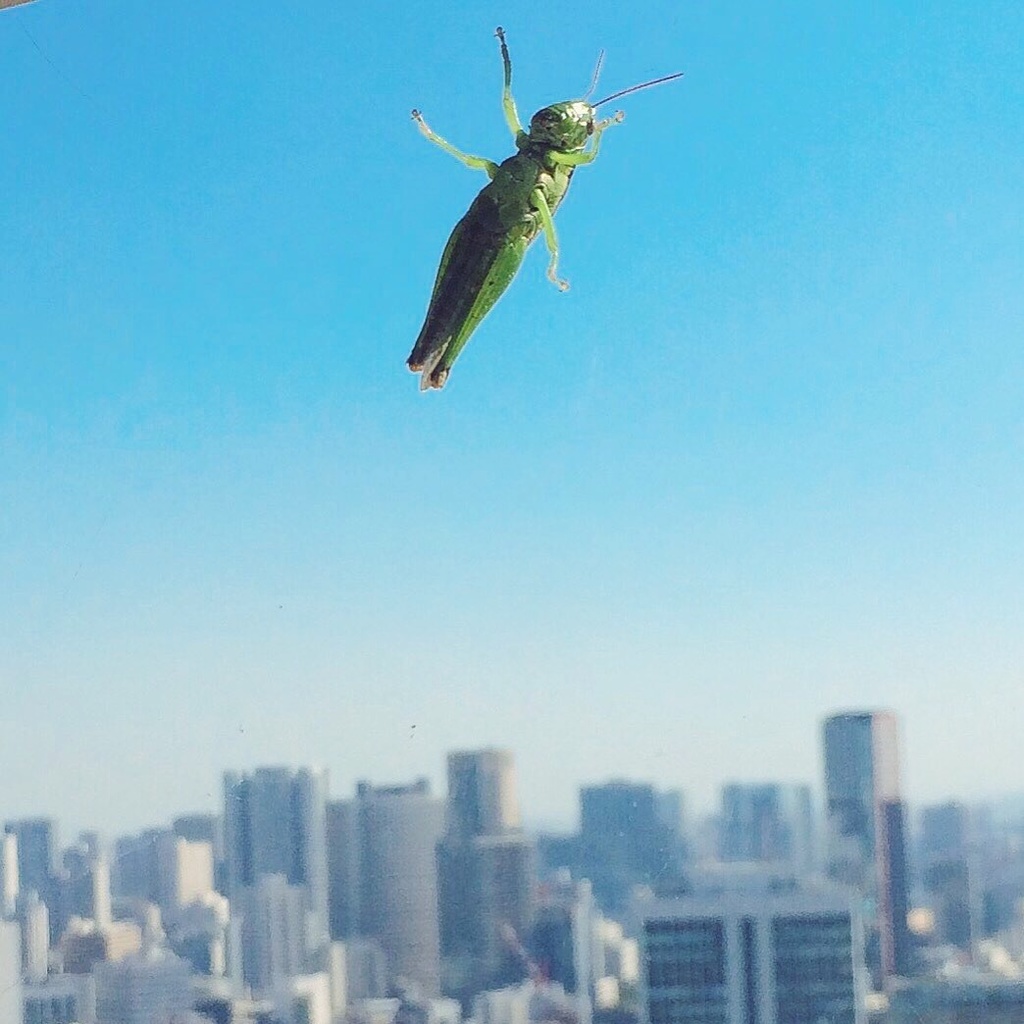 東京タワーにて。