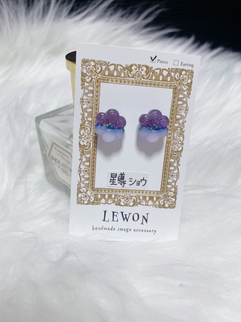 𝓓𝔂𝓽𝓲𝓬𝓪 イメージ earring&pierce