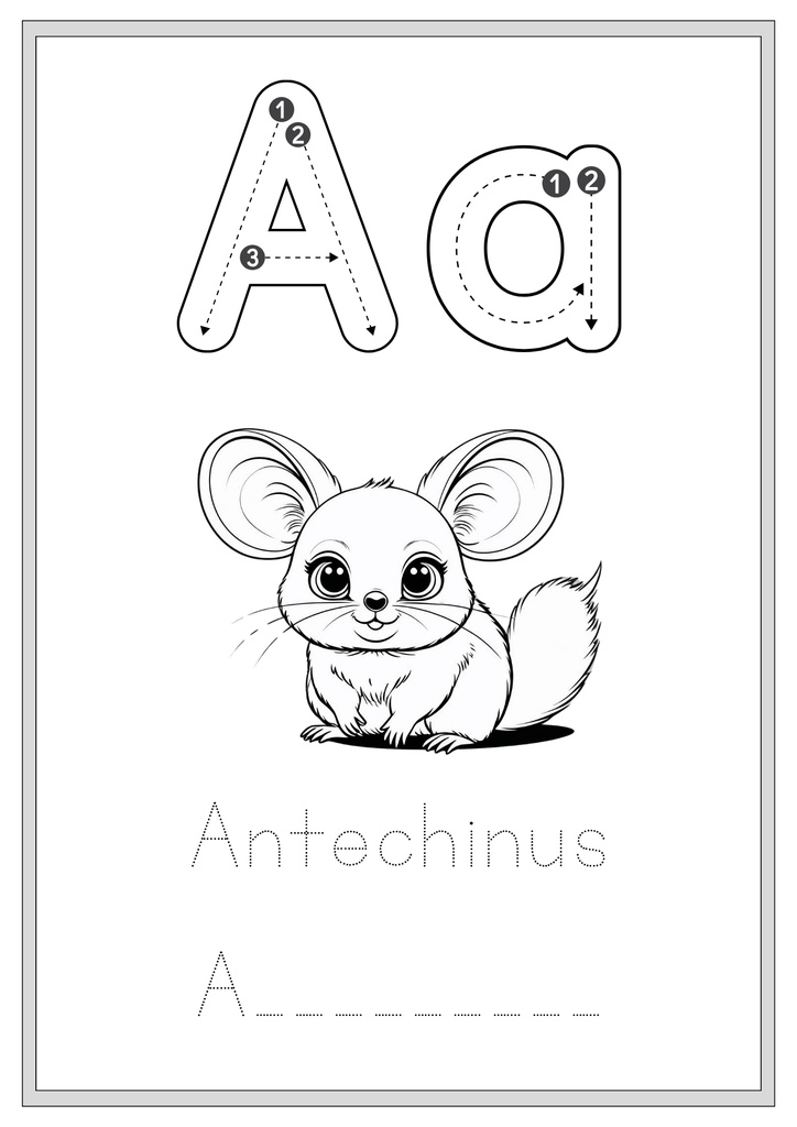 PDF and PNG はじめてのABCトレース&ぬりえブック|オーストラリアのかわいい動物たちと楽しく英語を学ぼう C Letter Tracing & Coloring Book for Kids – Australian Animals – Preschool Learning Activity – Alphabet Practice for Ages 3–6