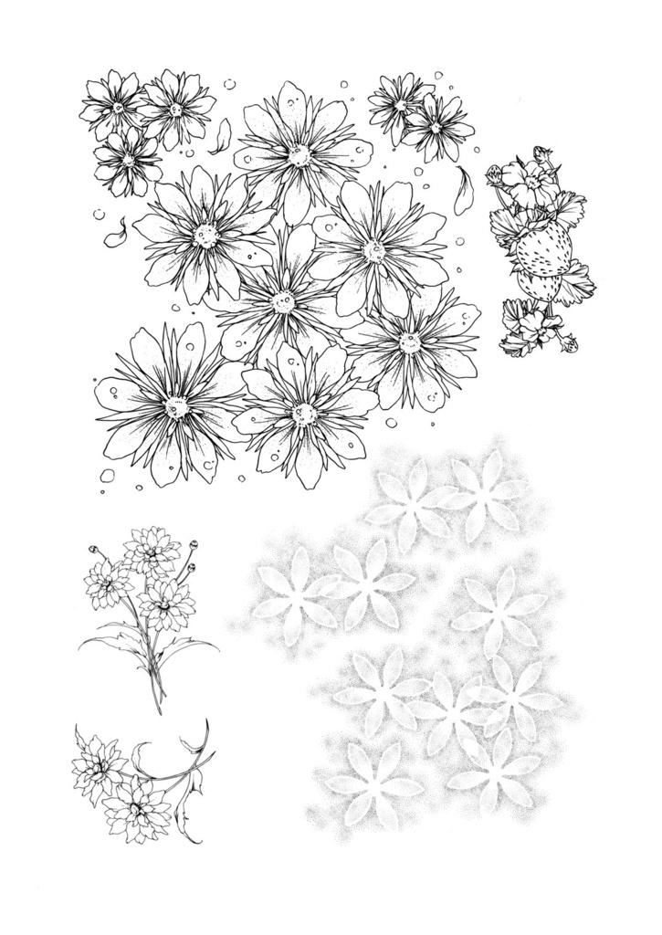 Star System(2015'1-12月号)