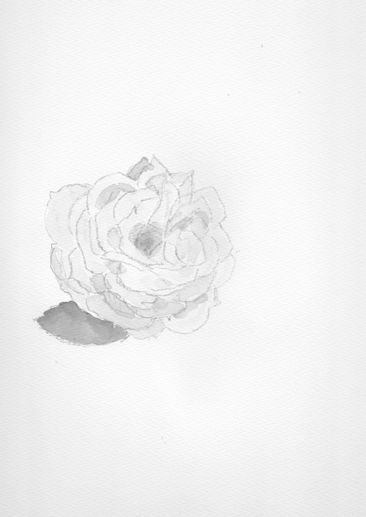 Star System(2015'1-12月号)