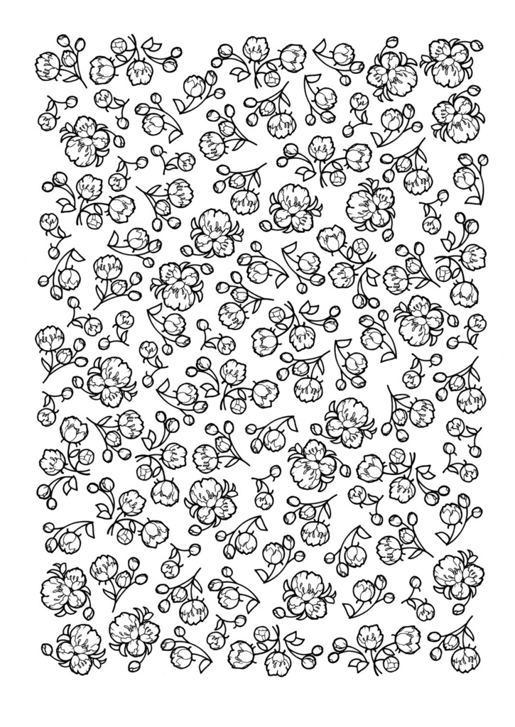 Star System(2015'1-12月号)