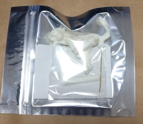 ミニフィギュア「マタガルちゃん」