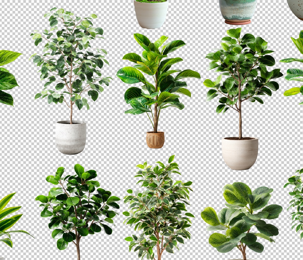 <PNG>観葉植物の切り抜き写真セット<PSD>