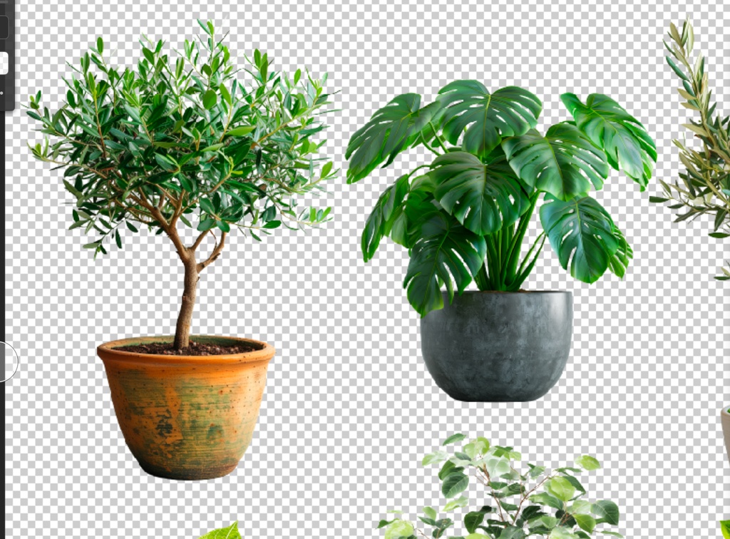 <PNG>観葉植物の切り抜き写真セット<PSD>