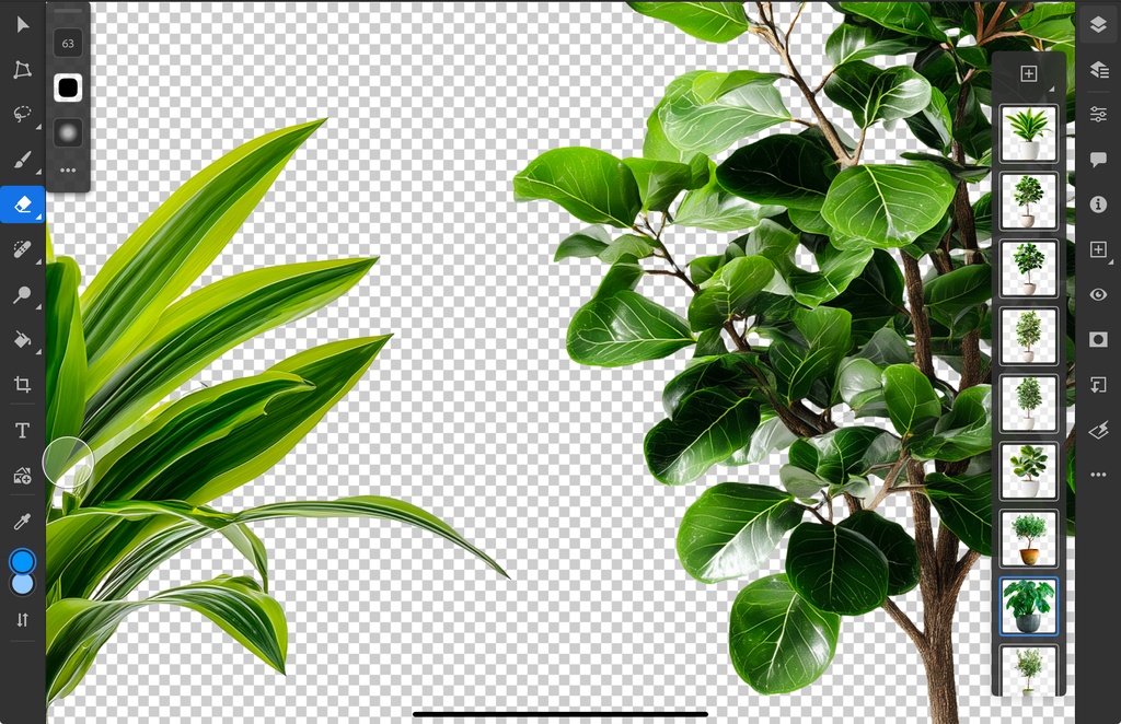 <PNG>観葉植物の切り抜き写真セット<PSD>