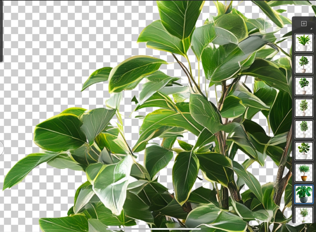 <PNG>観葉植物の切り抜き写真セット<PSD>