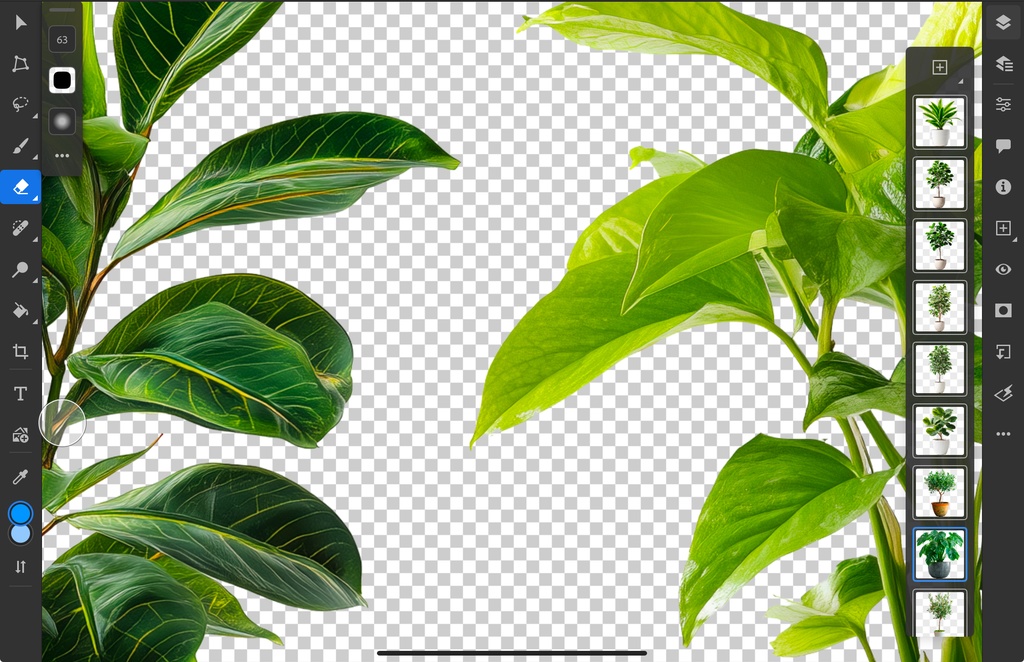 <PNG>観葉植物の切り抜き写真セット<PSD>