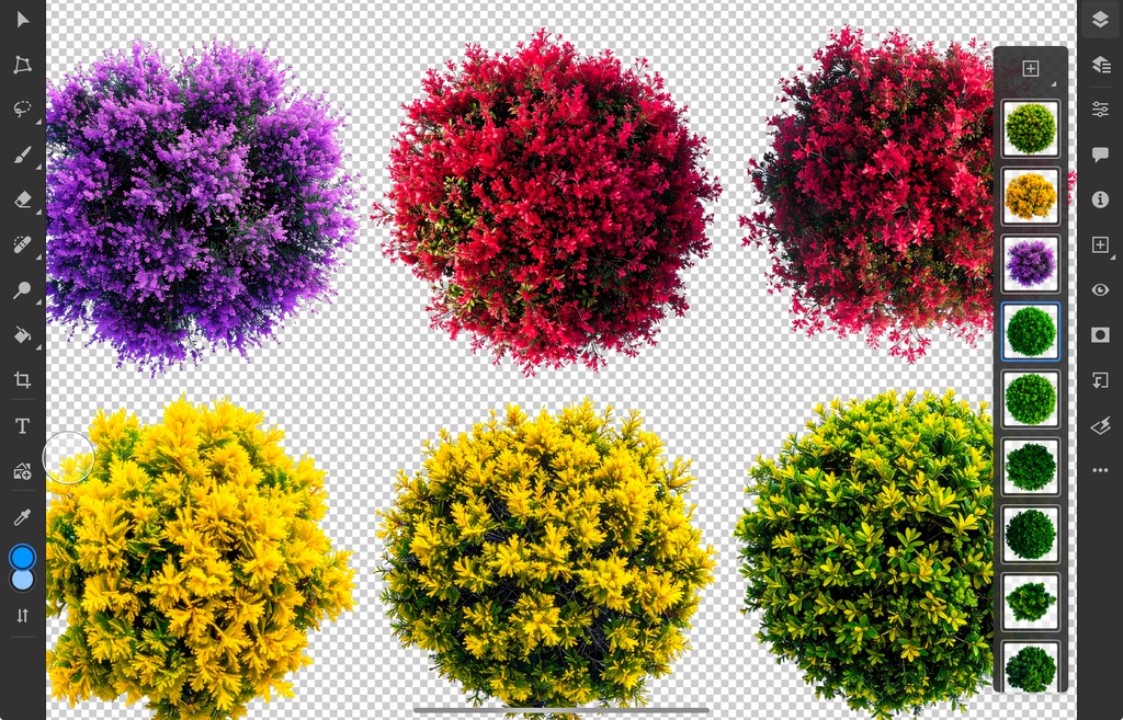 <PNG>平面図で使う木の添景写真セット<PSD>