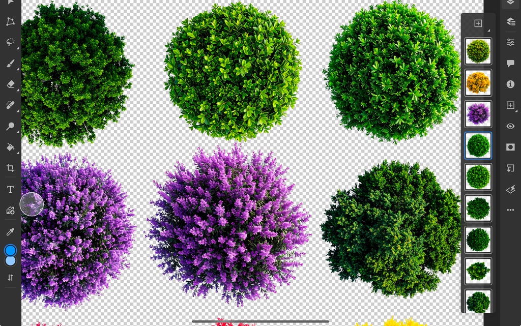 <PNG>平面図で使う木の添景写真セット<PSD>