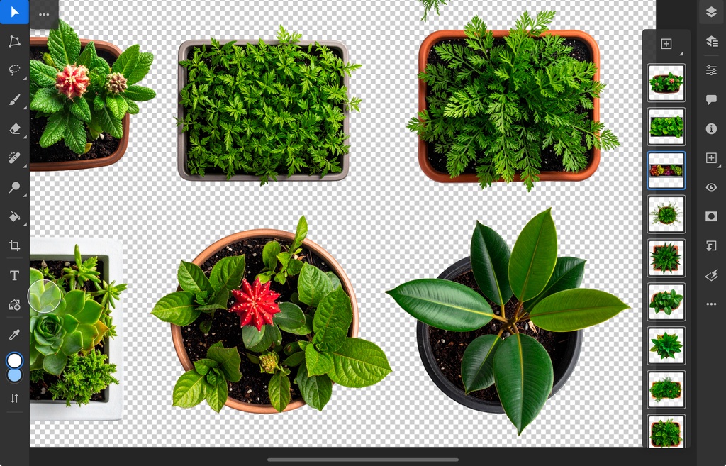 <PNG>平面で使うプランターの写真セット<PSD>