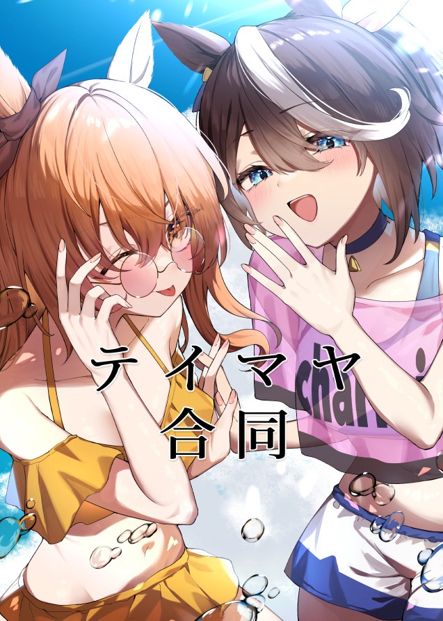 テイマヤ合同