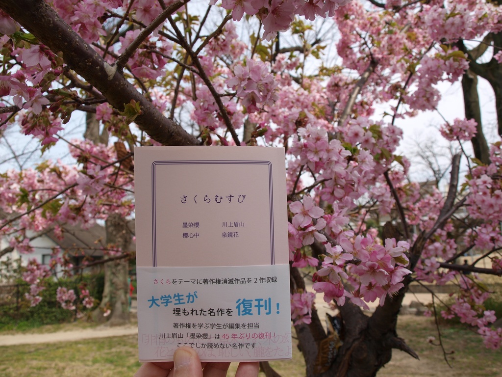 『さくらむすび』弐