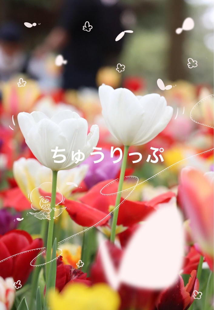 Sky ポストカード