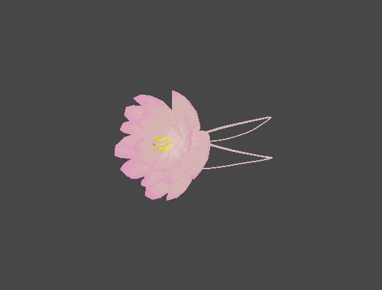 桜眼帯【無料】