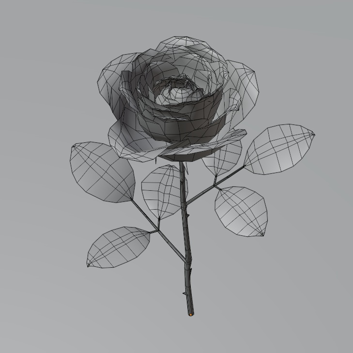 【3Dモデル】バラの花