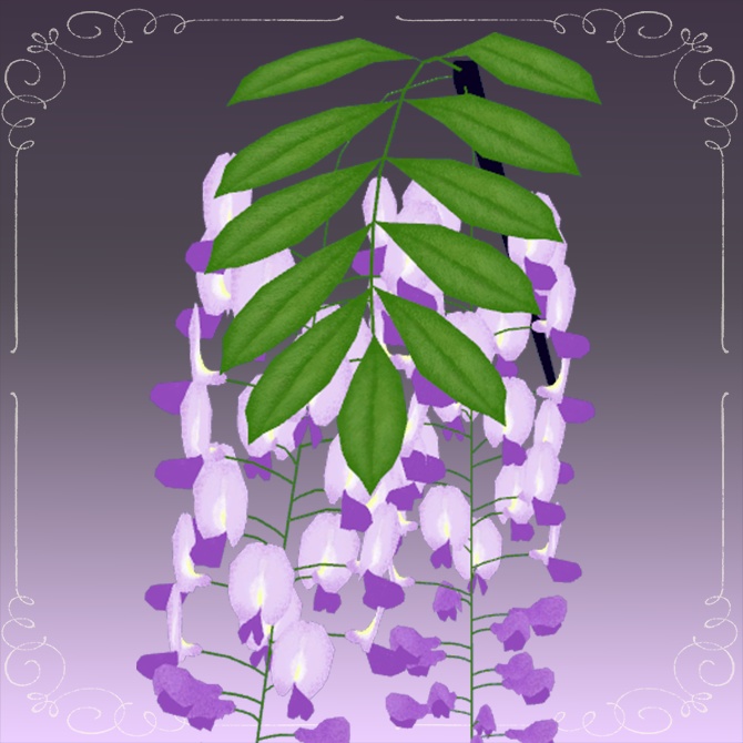 ゆらゆら揺れる藤のかんざし1