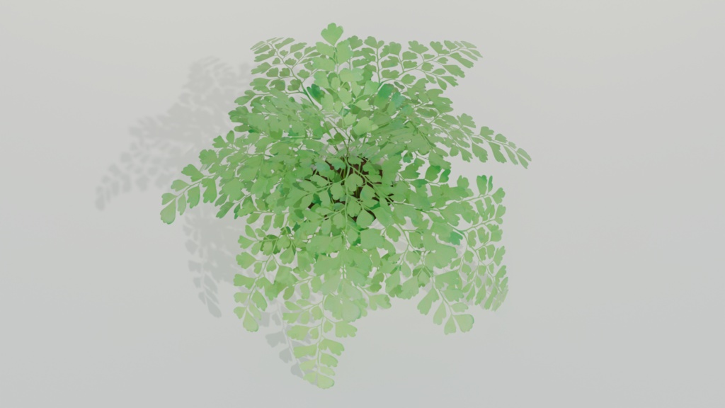 VRchat対応 観葉植物アジアンタム
