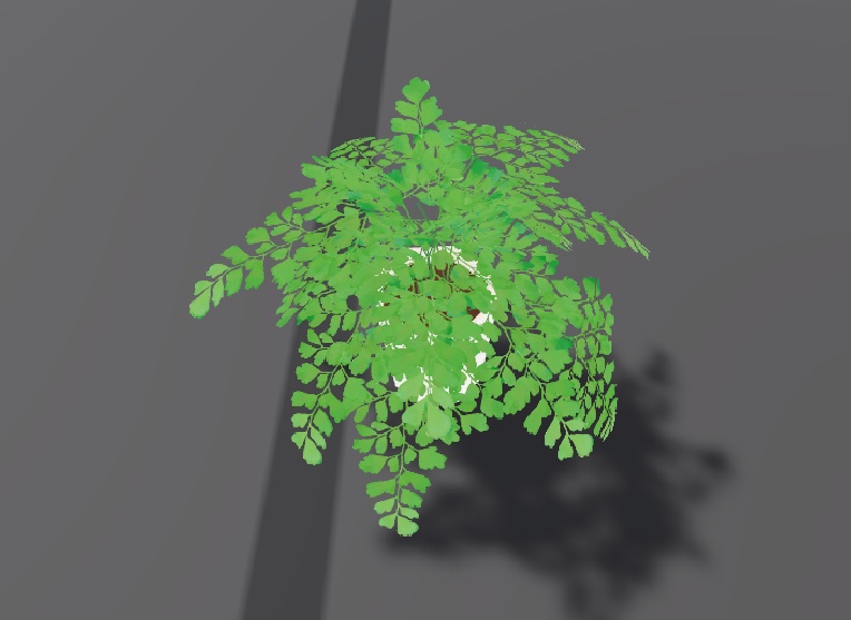 VRchat対応 観葉植物アジアンタム