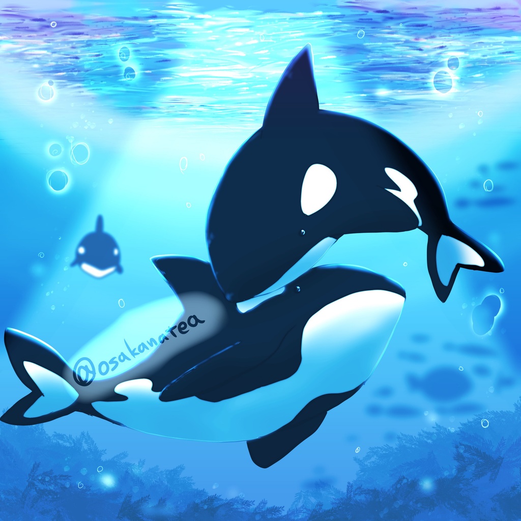 シャチのクッションカバー 45×45