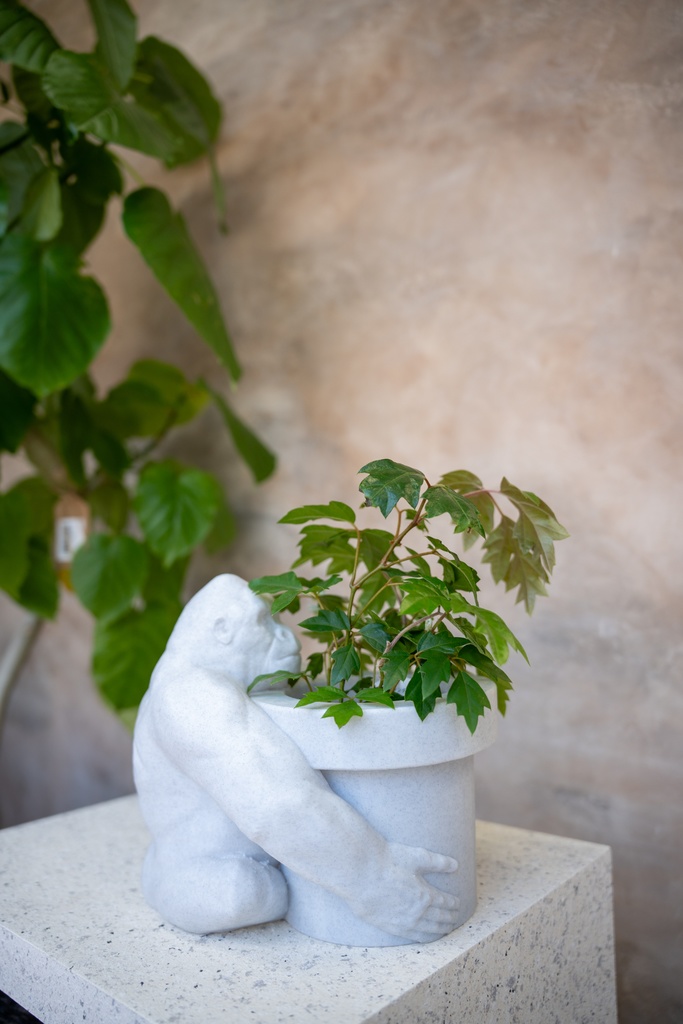 3Dプリント用データ　「見守りゴリラ」 Dynamite T