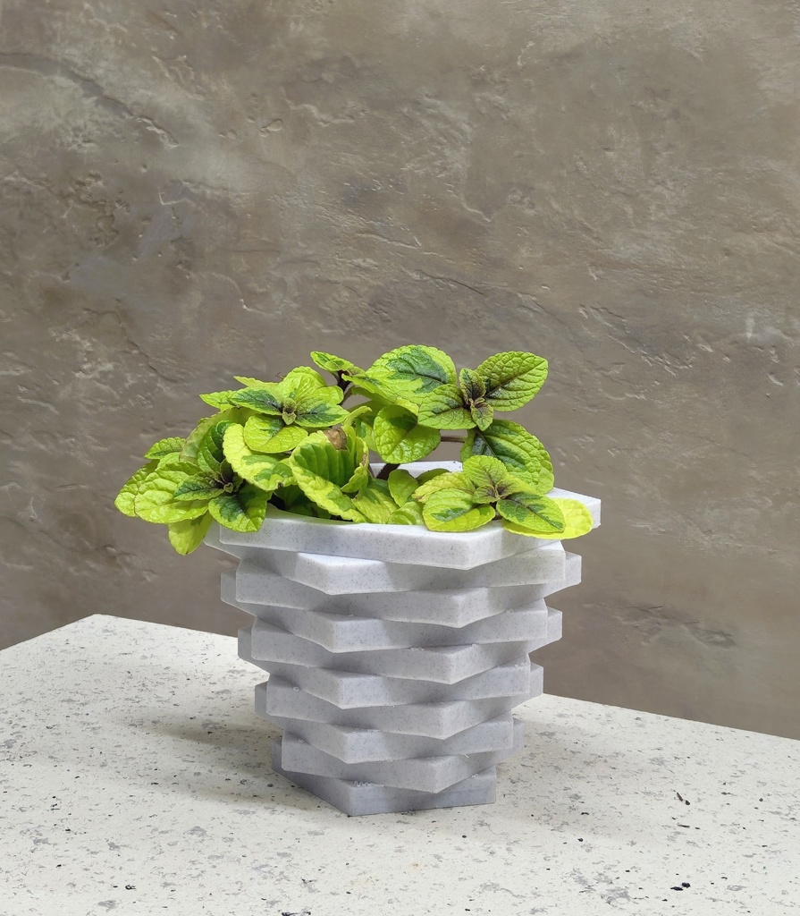 3Dプリント用データ　植物鉢"Pentagon①"