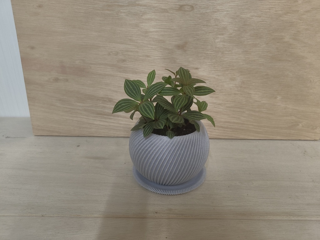 3Dプリント用データ 植物鉢"Lean"