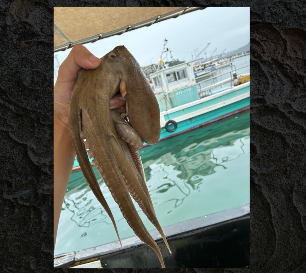 蛸魚拓のローレライ