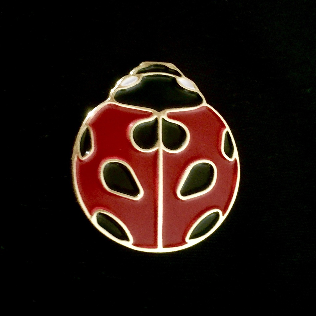 更生不能ピンズ