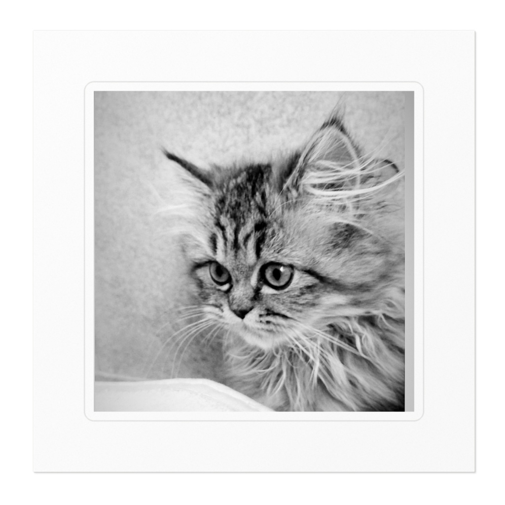 シロクロ椋ステッカー