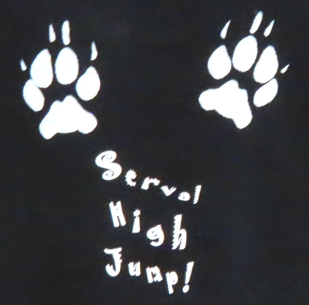 サーバルキャットTシャツ(新) 黒