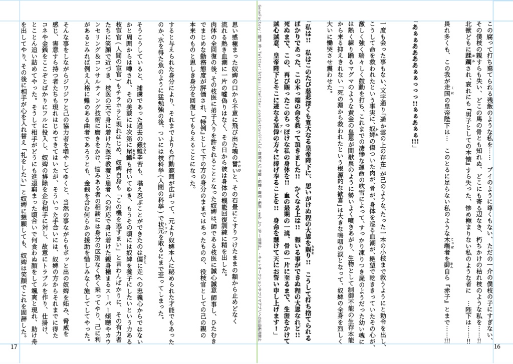 小説・プイの帝と人間の奴婢