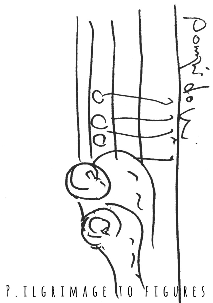 【PDF版】詩集 数の巡礼