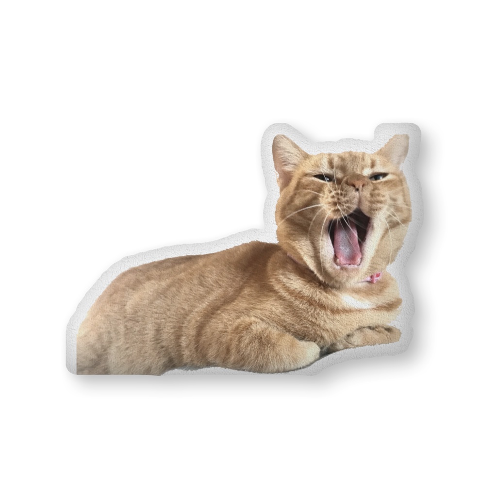 ネコチャンの幻覚