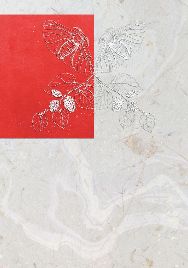 愛郷葬別録 うつほさまの花嫁