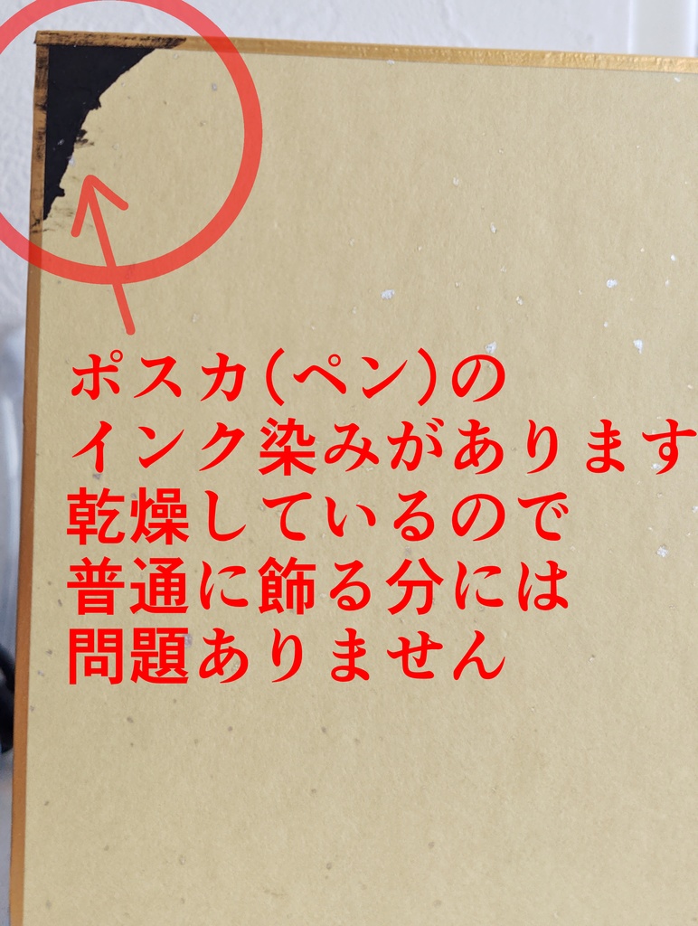 ハガネとわかば/サイン入りミニ色紙※注意書きアリ※