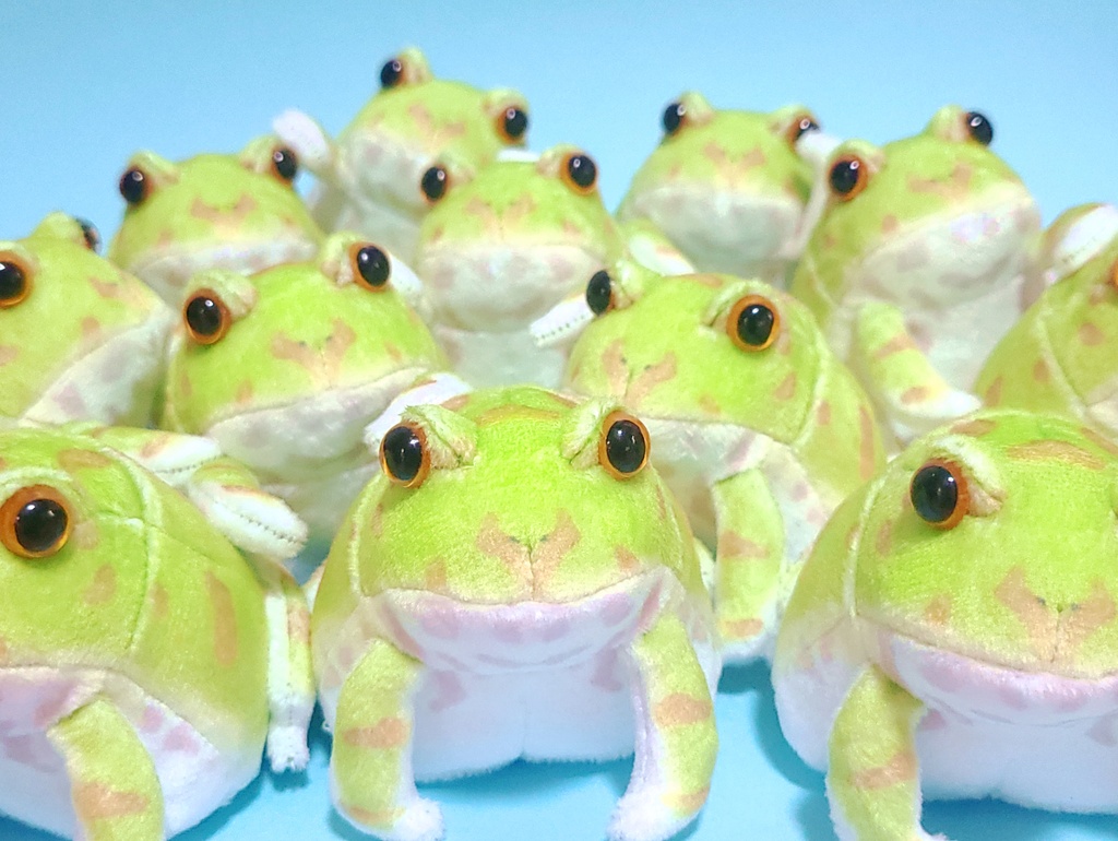 本物そっくりチャコガエルぬいぐるみ🐸